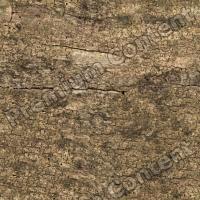 High Resolution Seamless Wood Texture 0001